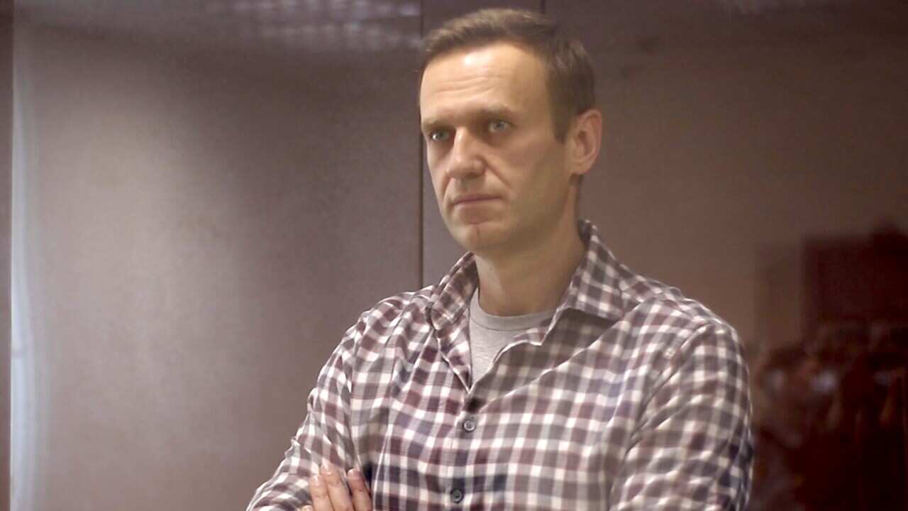 A file photo of Russian opposition activist Alexei Navalny.