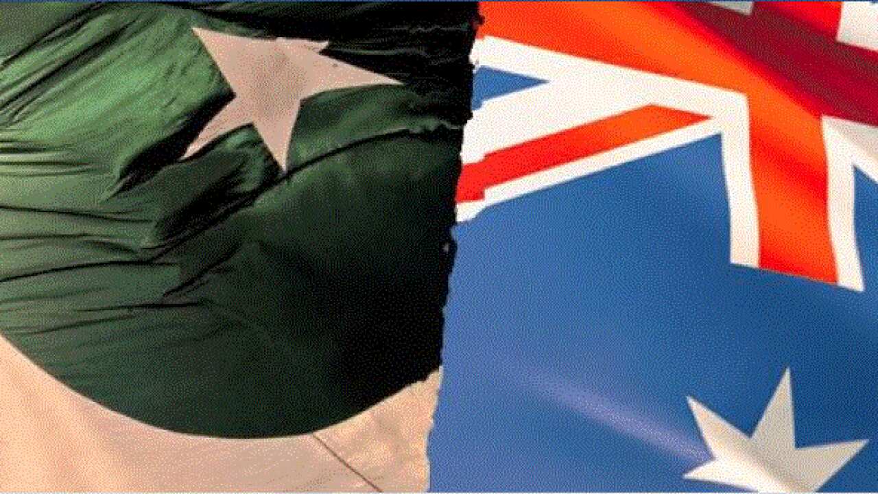 Family Gala and Cricket