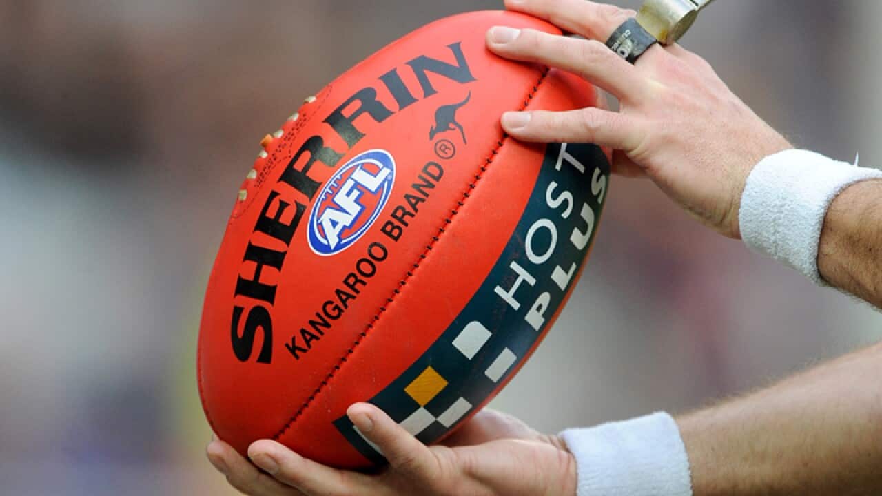 umpire holding the ball
