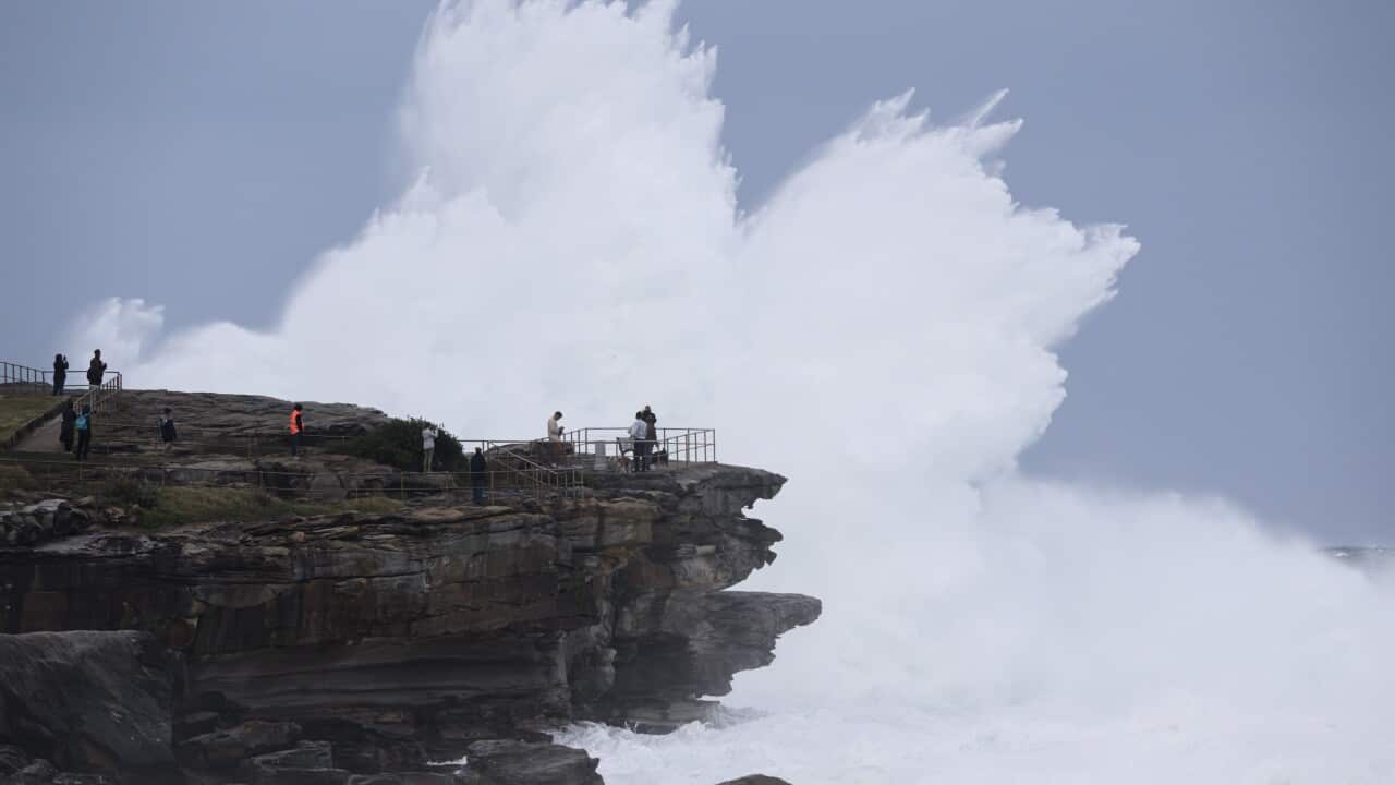 SYDNEY WINTER WEATHER