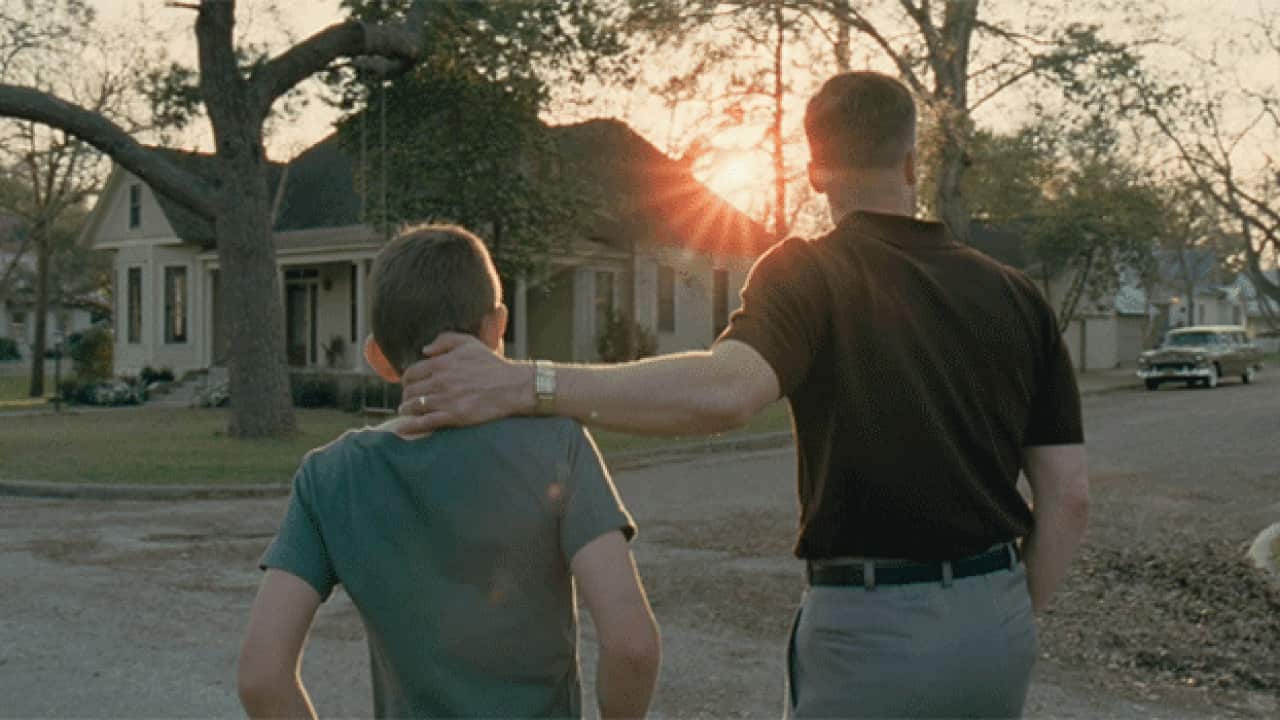 tree_of_life_627_1503674320