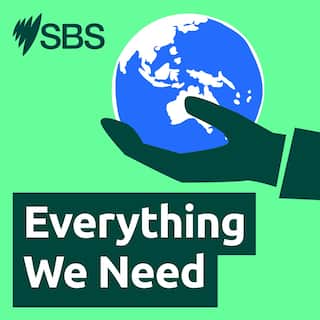 SBS-Podcast-Everything-we-need-3000x3000.png
