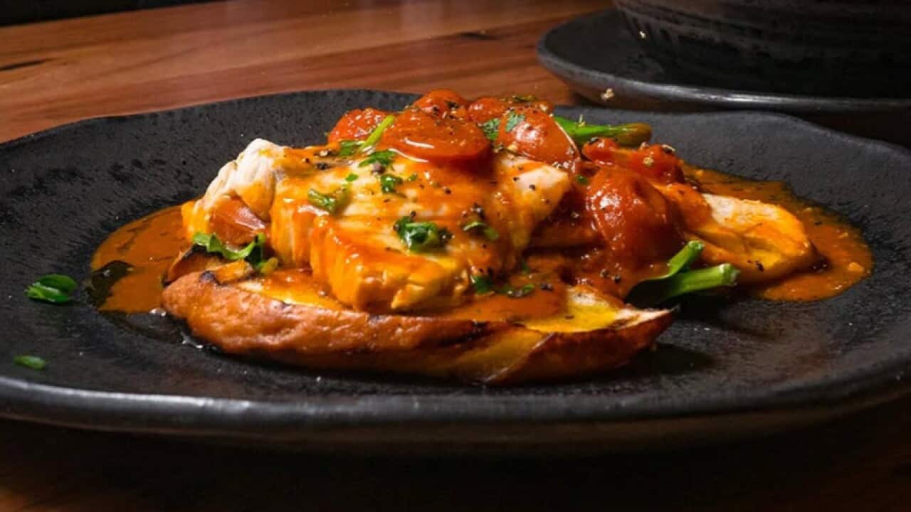 CERNIA ALL'ACQUA PAZZA.jpg