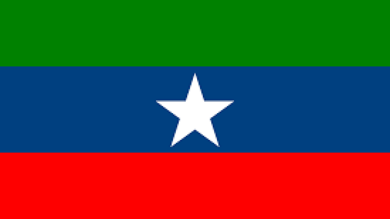 ONLF FLAG