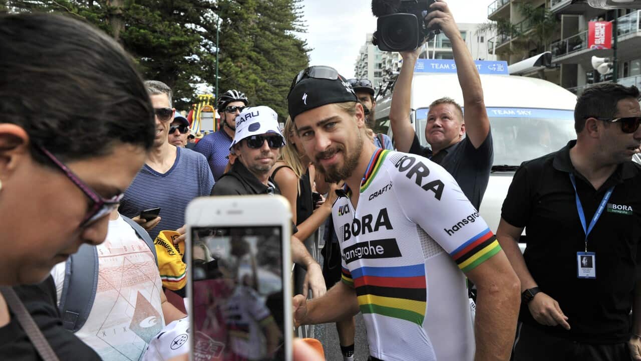 Eyy! Is Peter Sagan 'the Fonz' of pro cycling?