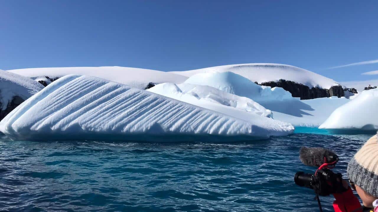 PHOTO-2023-03-23-15-49-01 6.jpg