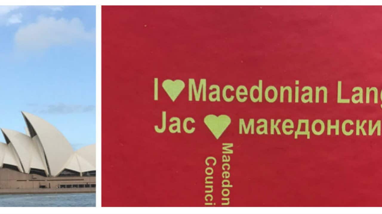 macedonian, census, 2016