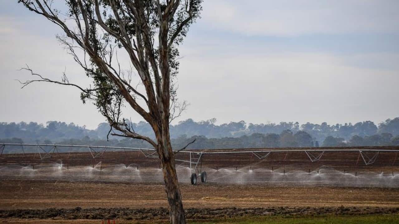 Irrigation systems on a farm.
