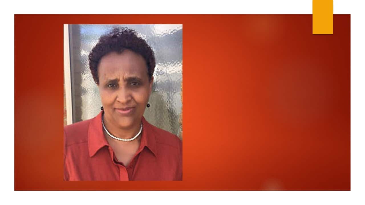 Dr Emayenesh Seyoum