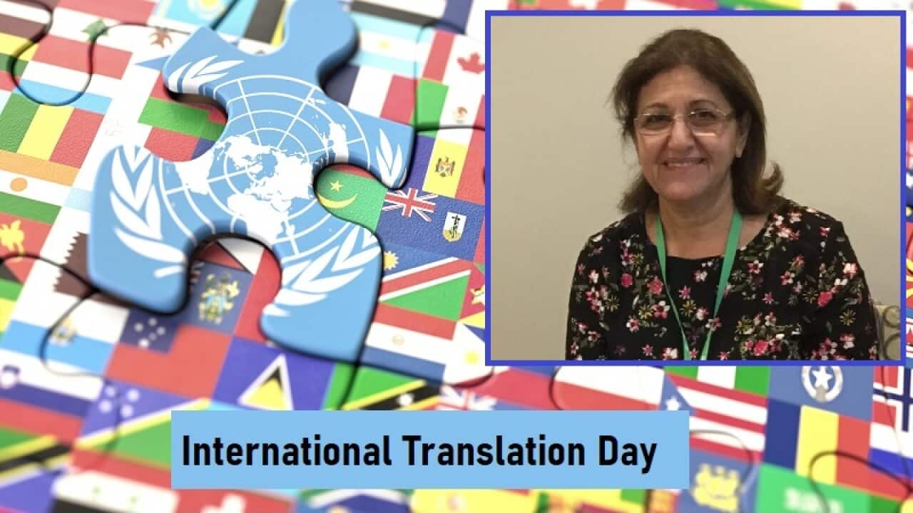 international translation day