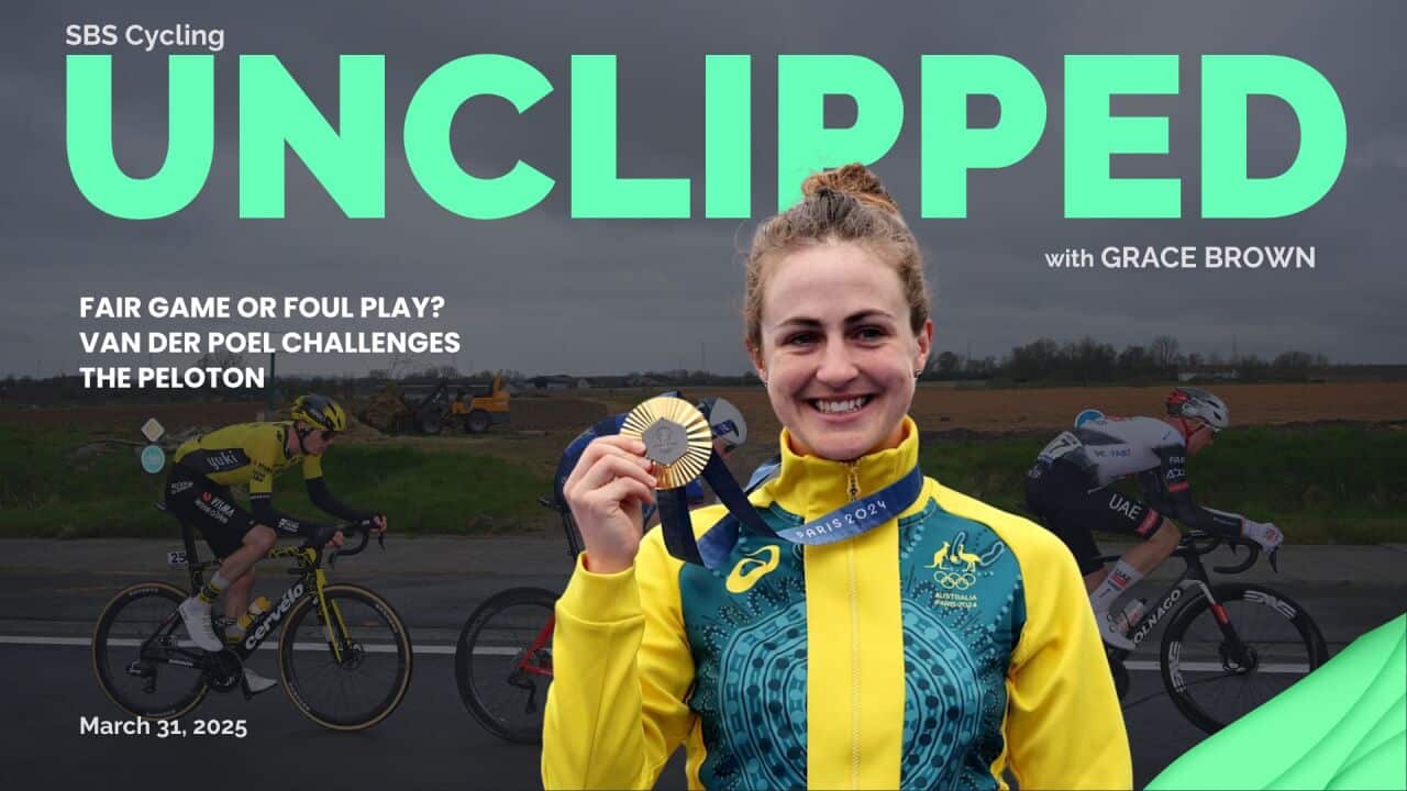 31.03.2025 LEAD ASSET.jpg