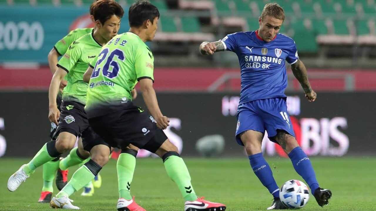 Adam Taggart in action for Suwon Bluewings