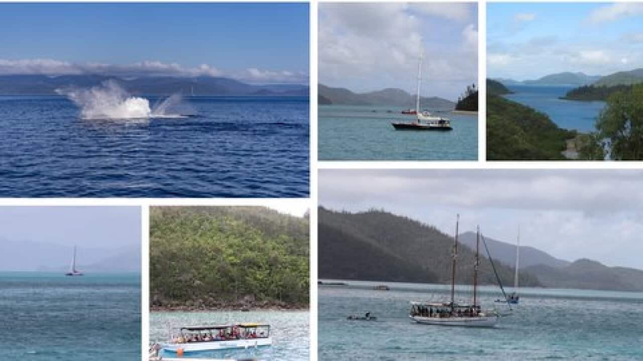 Whitsunday Islands_Queensland_Australia