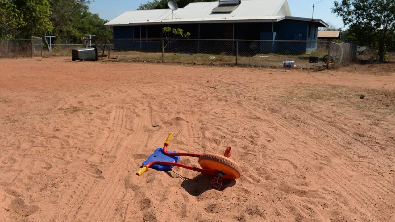 DARWIN ABORIGINAL STOCK