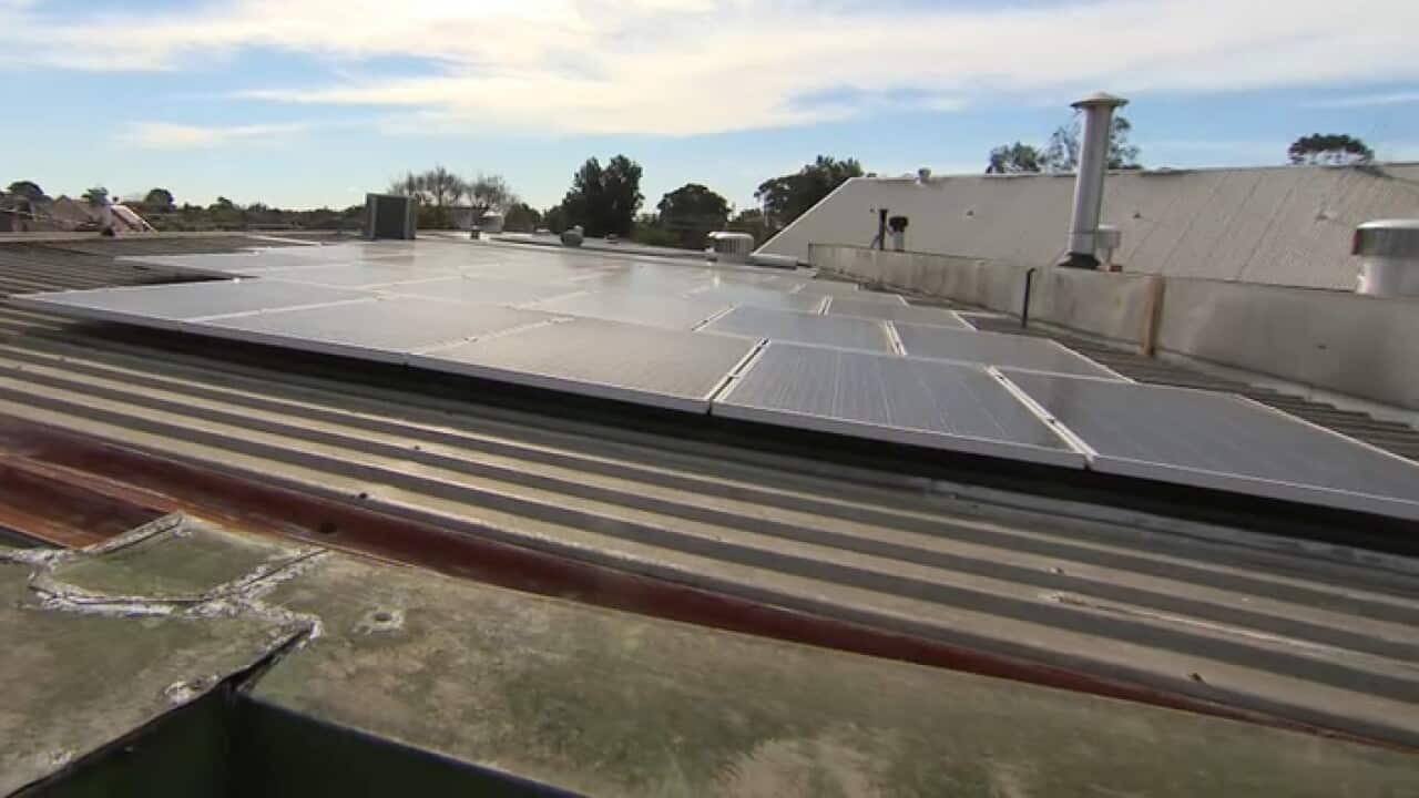 Solar panels adorn the roof of Young Henrys brewery