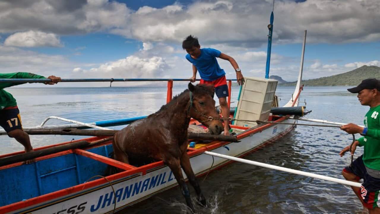 Taal Volcano Eases, but Philippine authorities worry worst is yet to come
