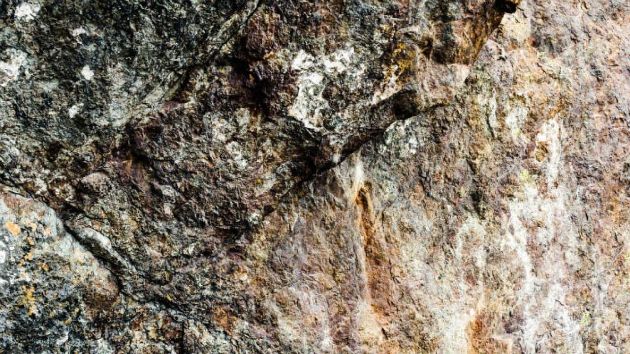 Image by Anthony Gibson via Unsplash