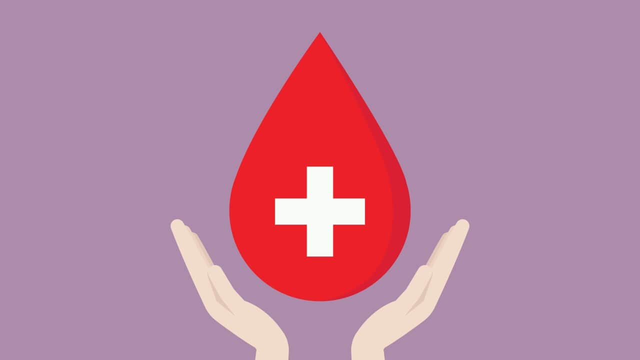 Hand support a blood donation