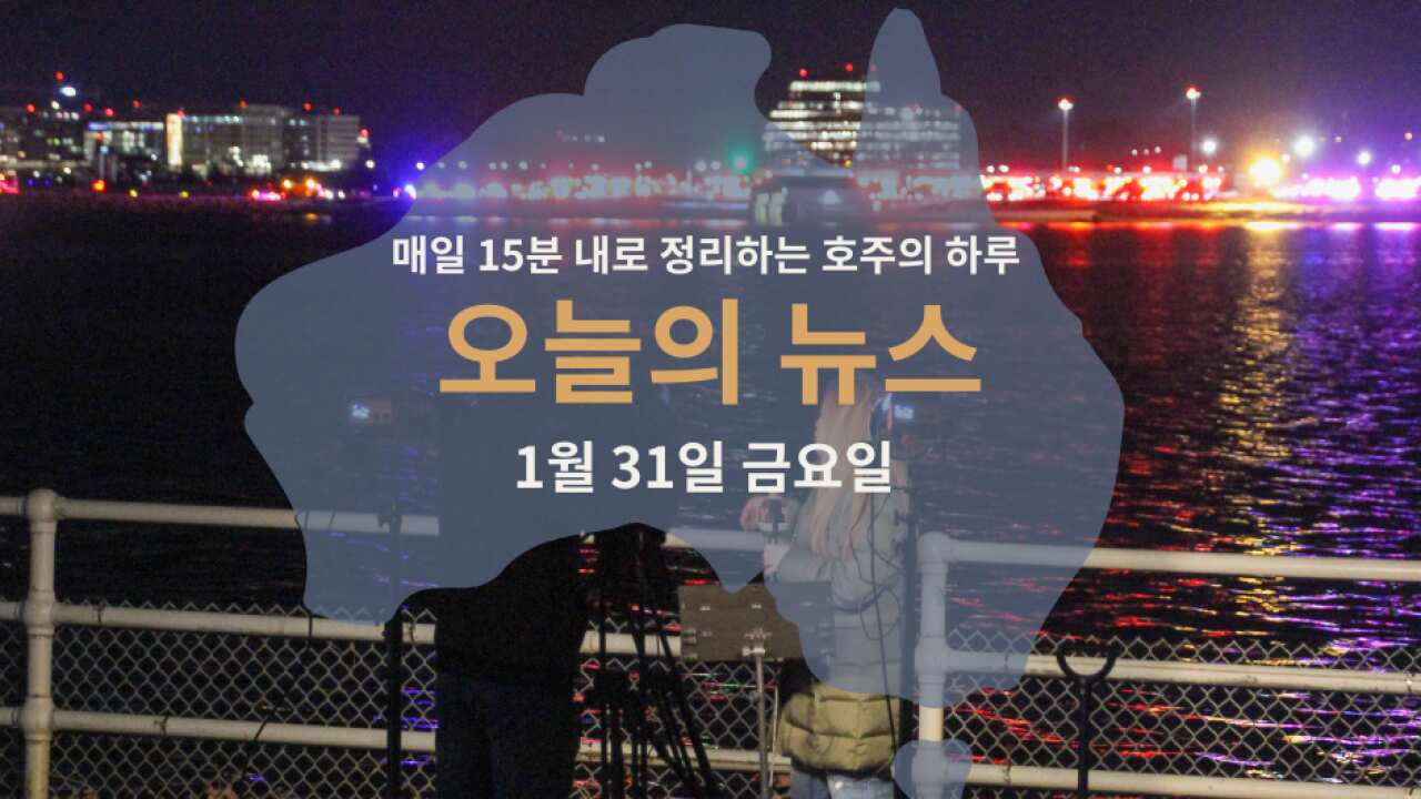 3101 news WEB.png