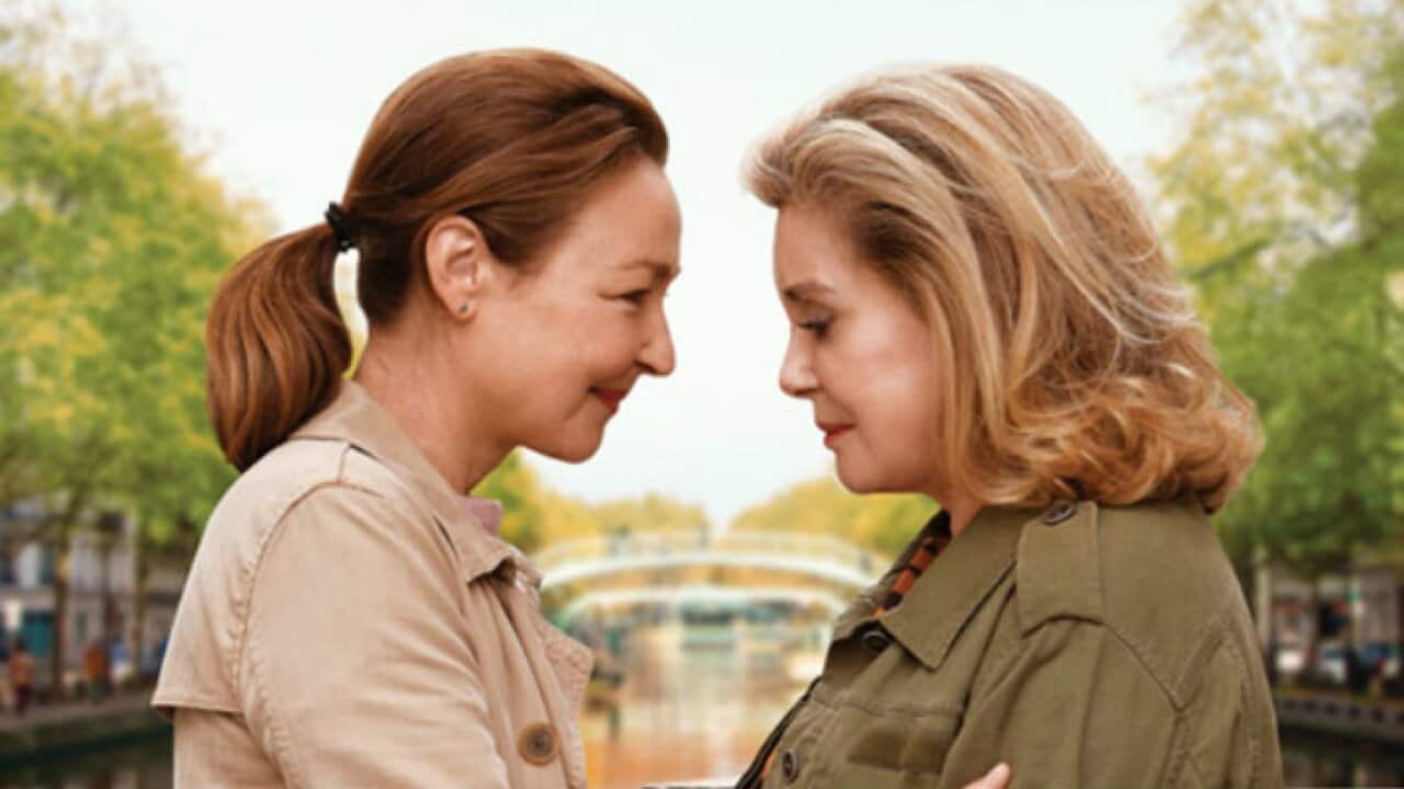 The Midwife