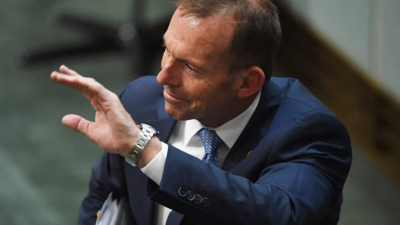 Former prime minister Tony Abbott