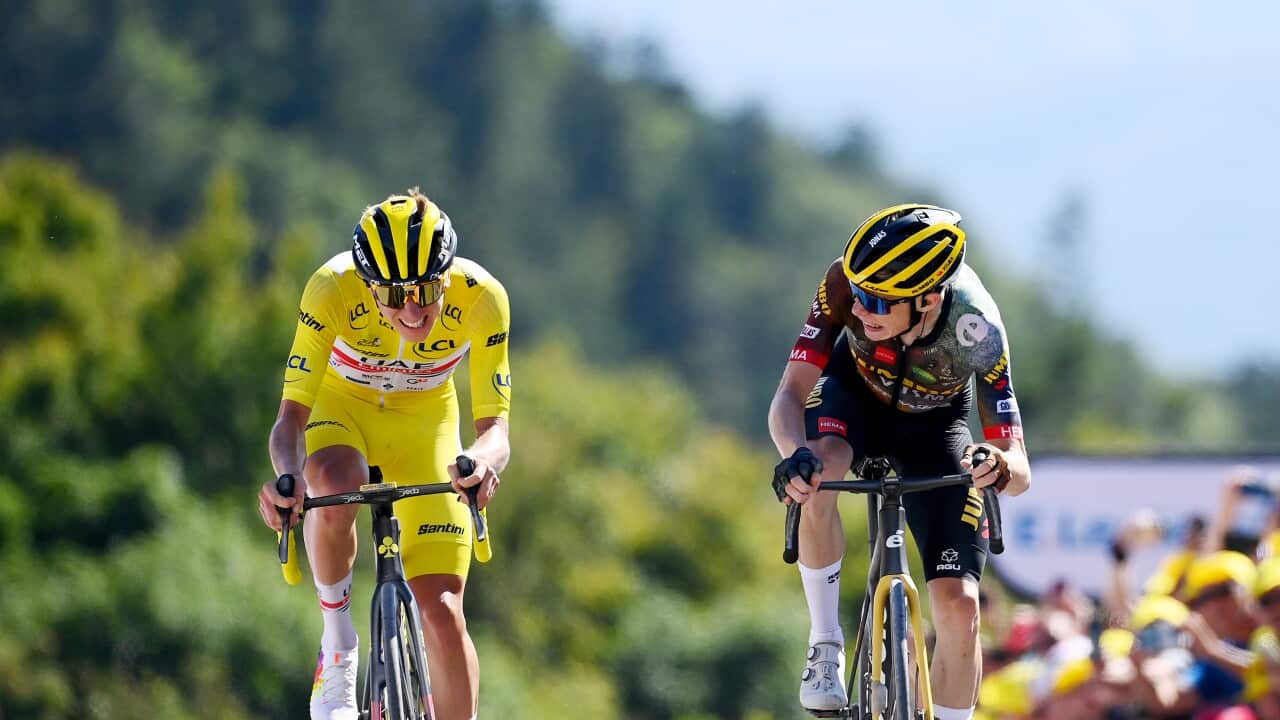 vingegaard vs pogacar at the Tour de France