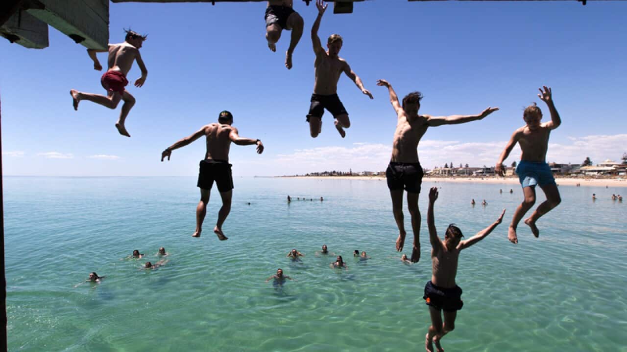 Jetty Jumpers escape the heat by cooling off at Henley Beach