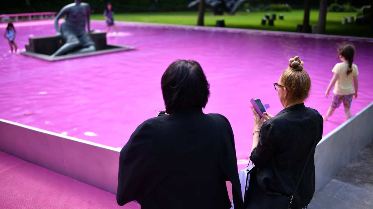 A pink pond at the National Gallery of Victoria