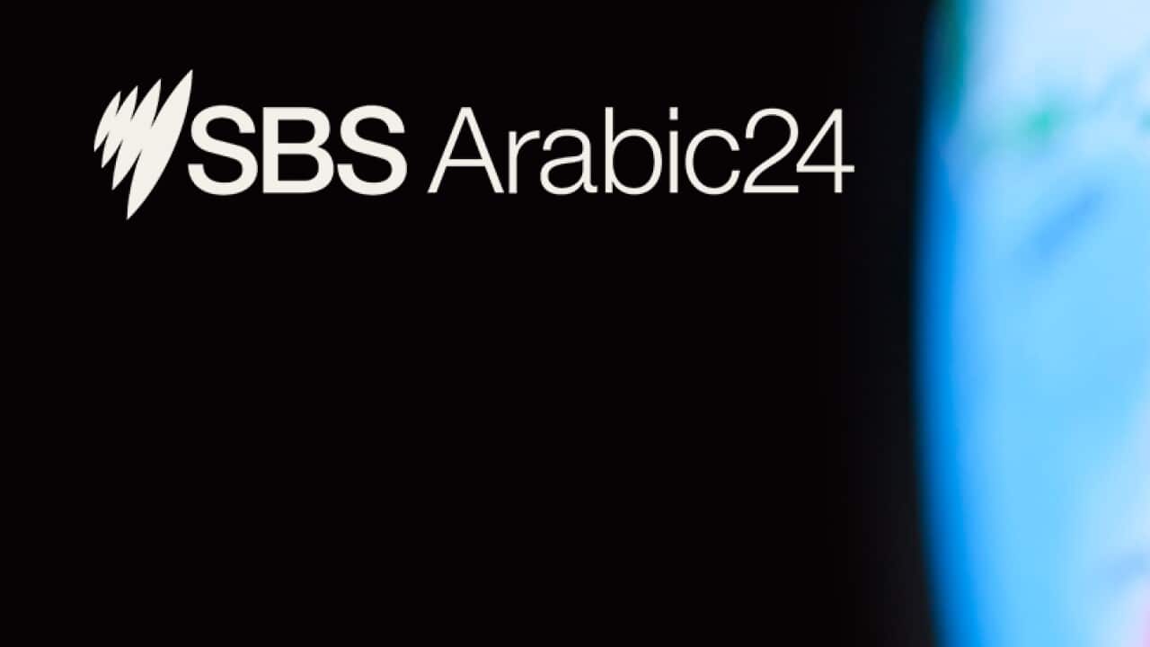 أخبار المساء