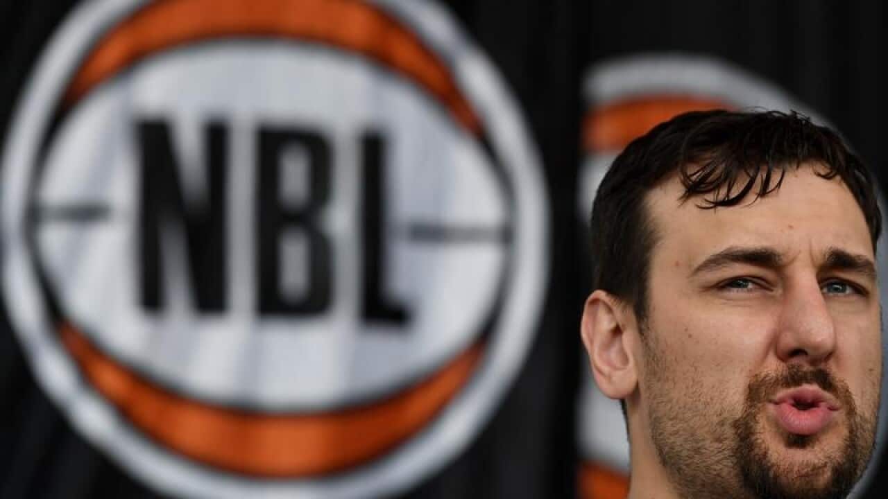 Andrew Bogut