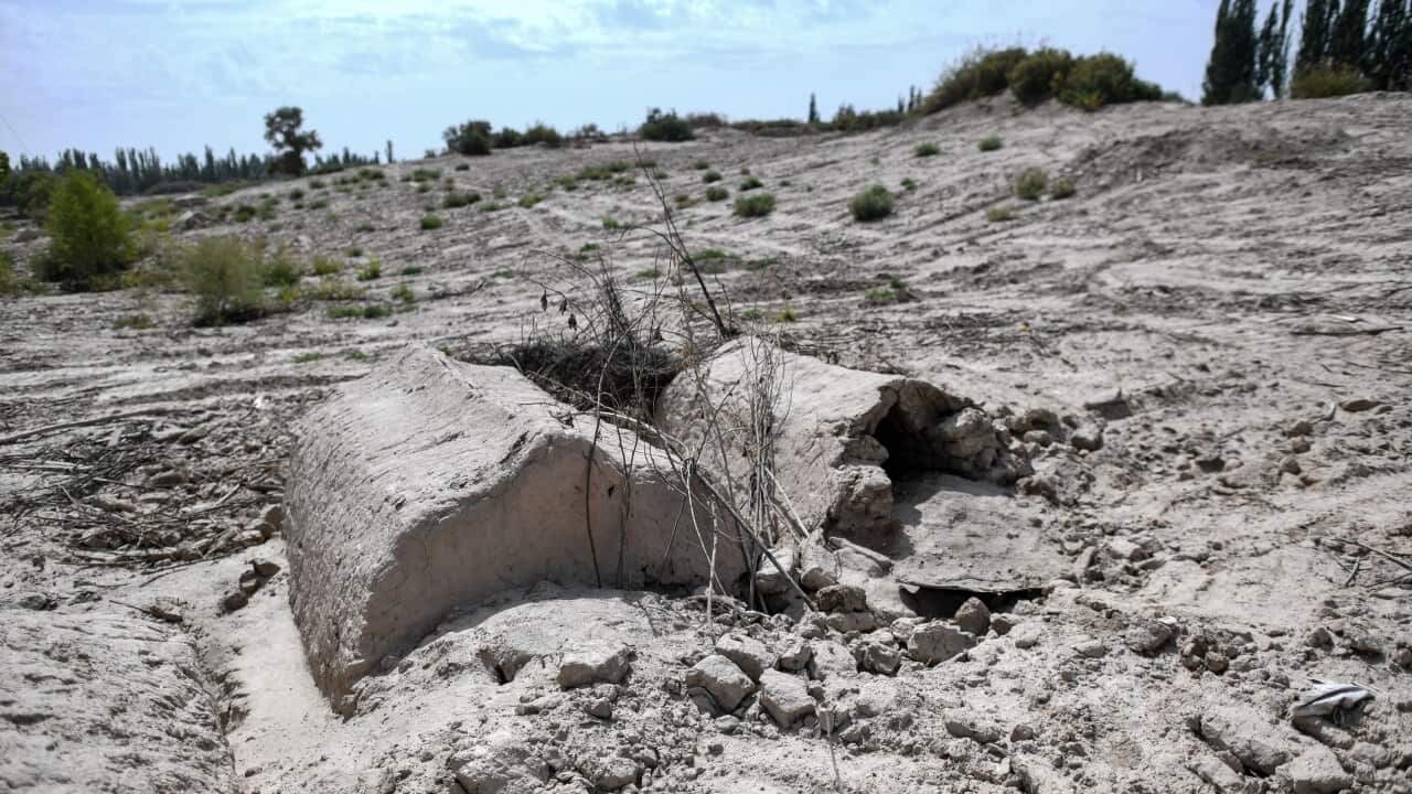 China is tearing up burial grounds where generations of Uighur families have been laid to rest.