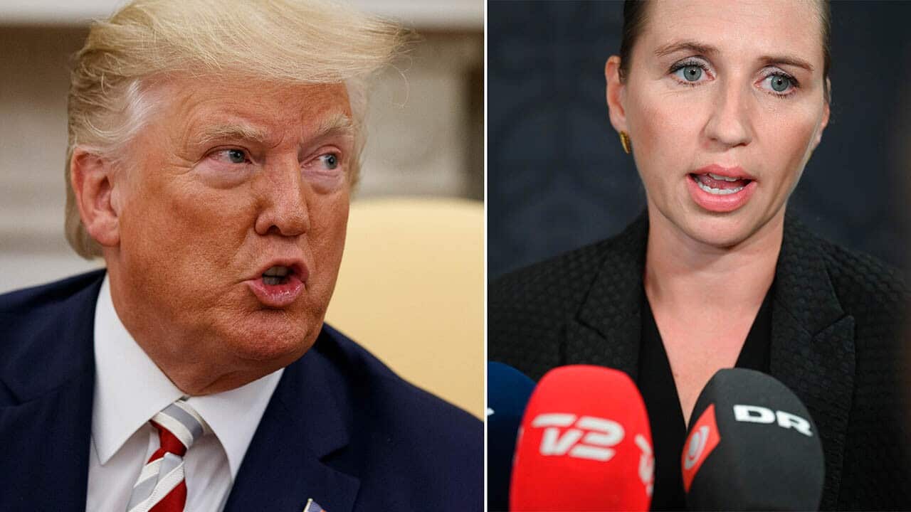Donald Trump says Danish Prime Minister Mette Frederiksen's rejection of his offer to purchase Greenland has prompted him to postpone his trip to Denmark.