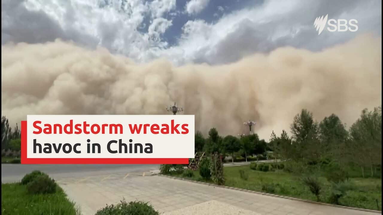 Image for read more article ''