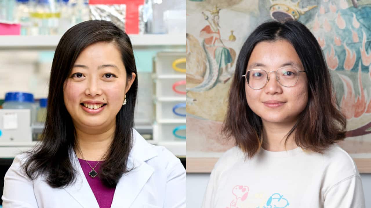 Image for read more article ''