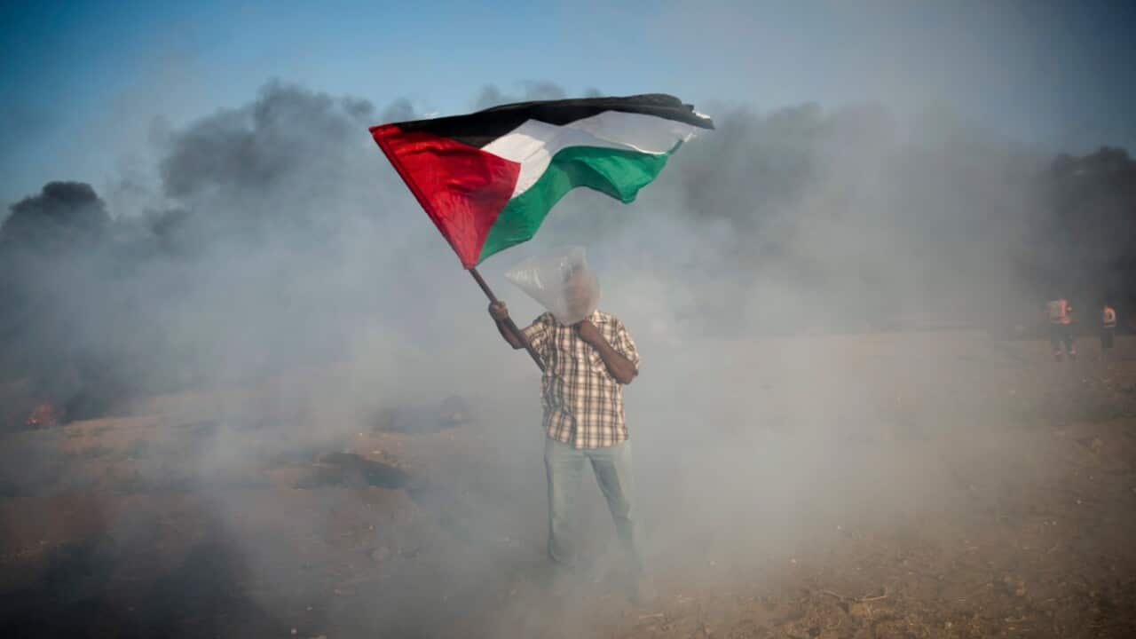 A Palestinian protester wears a plastic bag on his head as a protection from teargas as he waves a national flag during a protest at the Gaza Strip's border