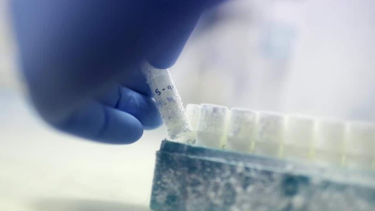 Dodgy IVF practitioners