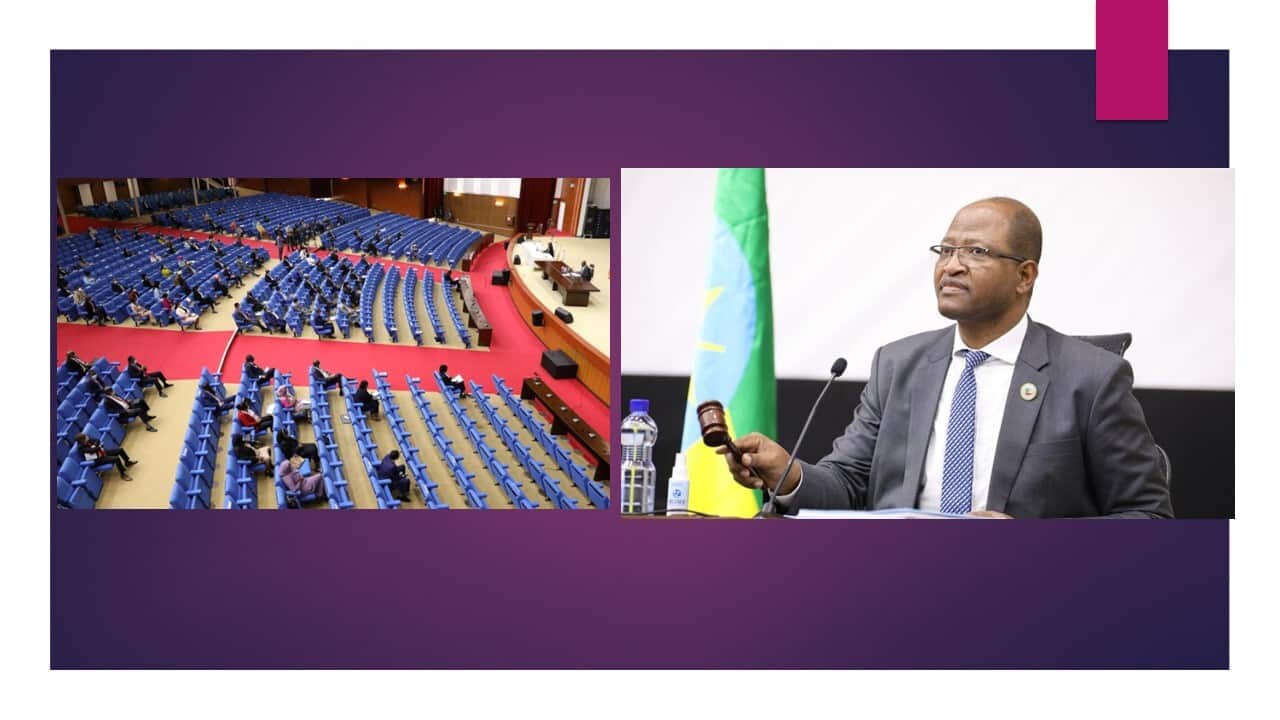 General Election 2013