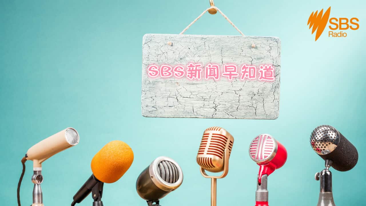 sbs news