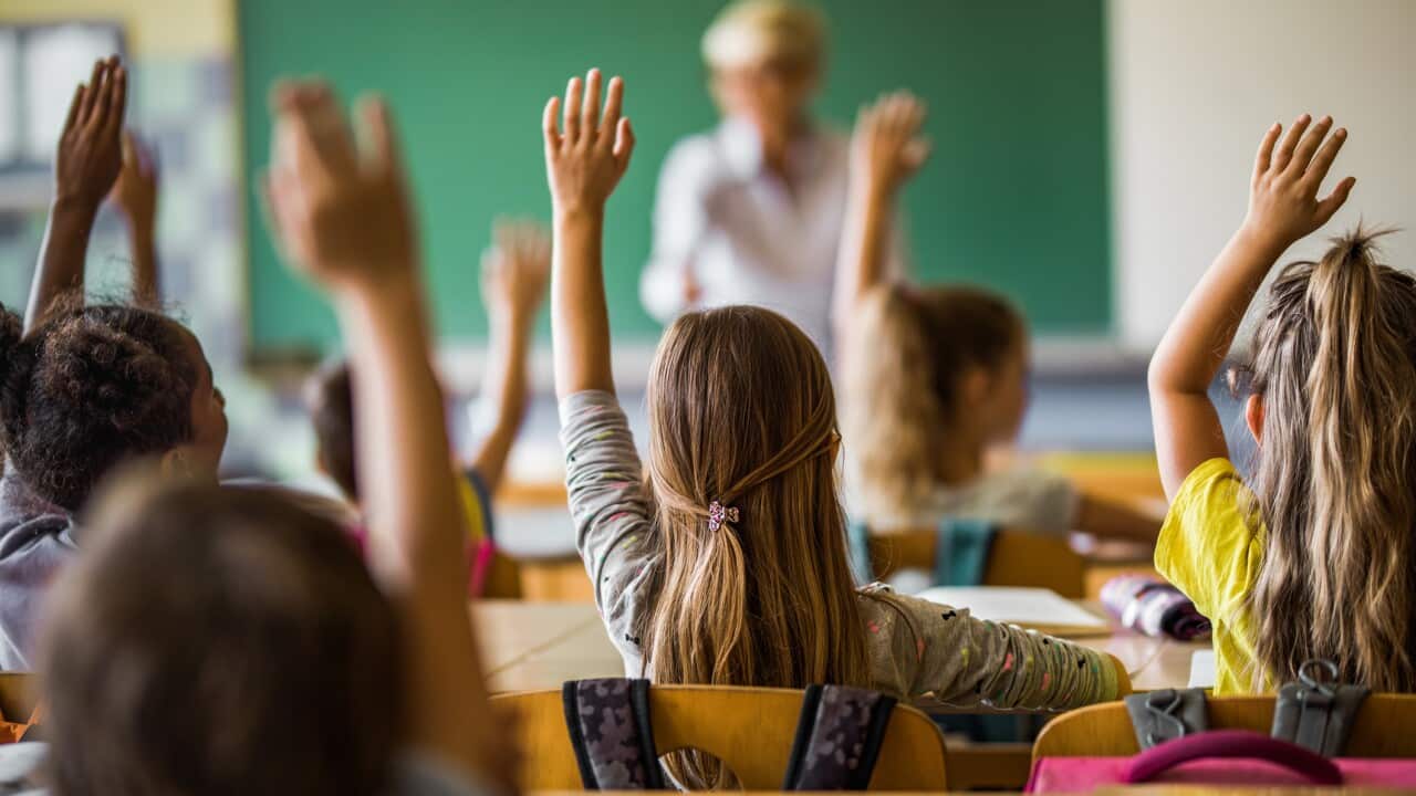Back view of elementary students raising their arms on a class.