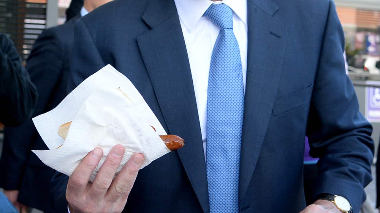 Prime Minister Tony Abbott (AAP Image/Dan Himbrechts)