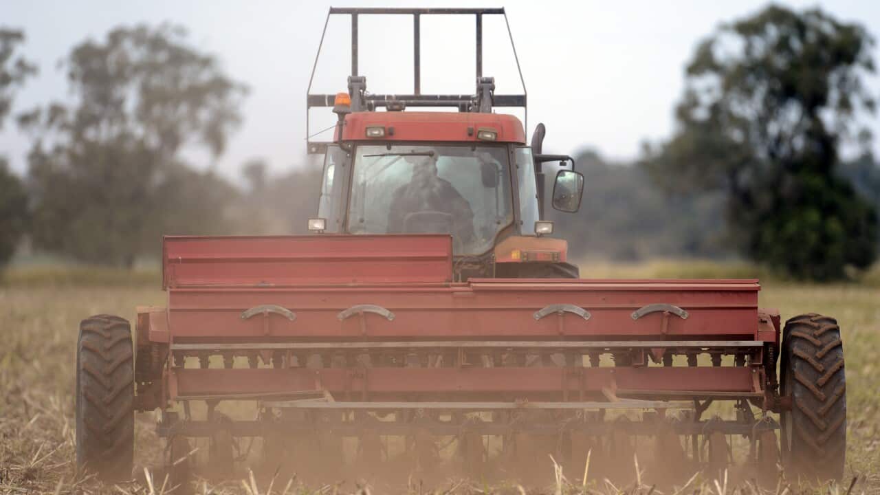 A farmer sows barley on his property.
