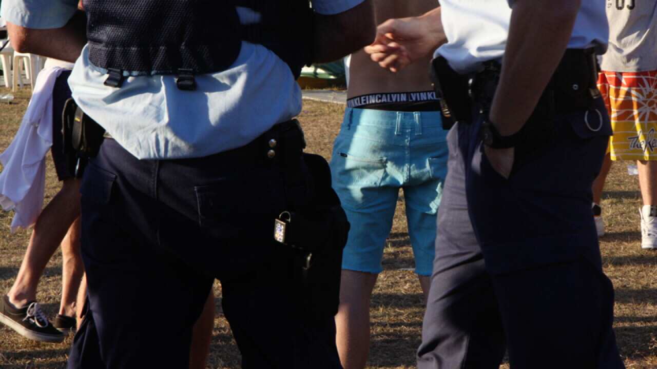 Police at a music festival