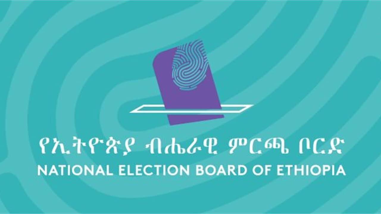 Homeland Report Election Day