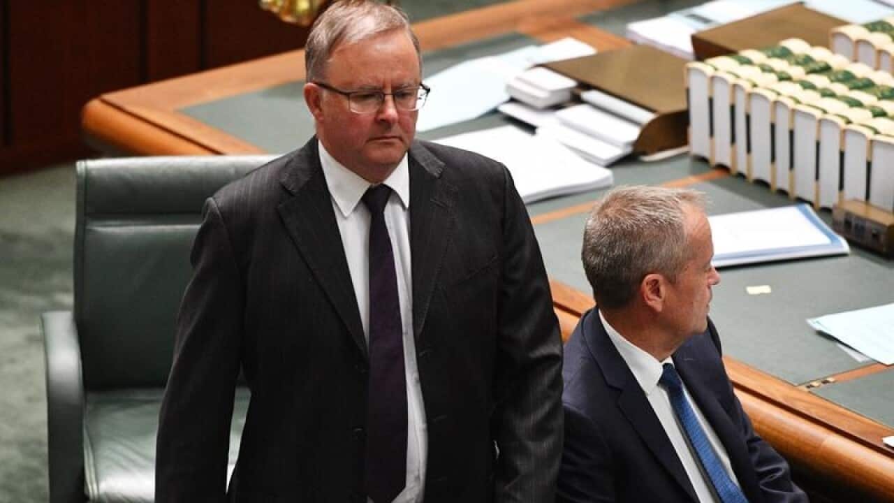 Anthony Albanese and Leader of the Opposition Bill Shorten