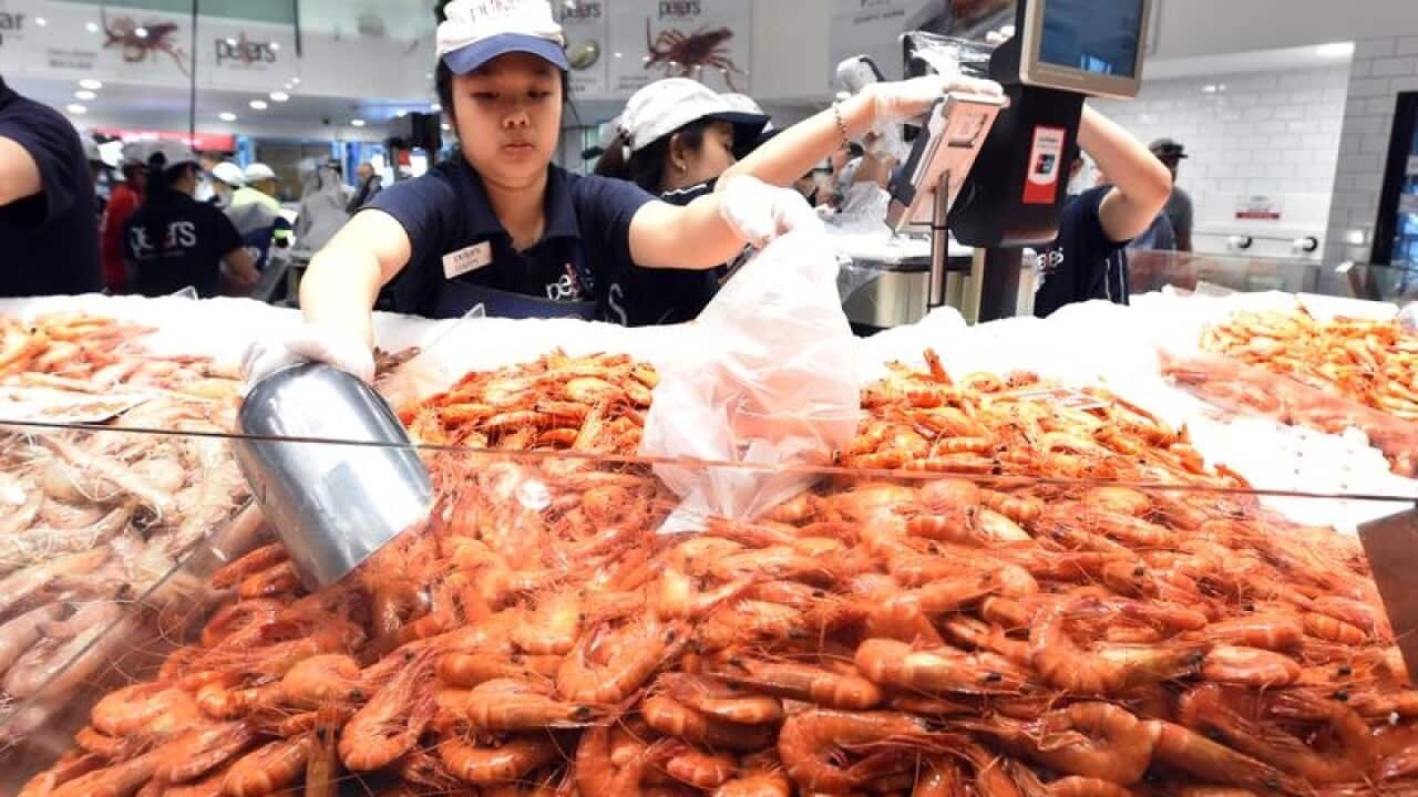 A worker scoops up prawns at the Sydney Fish Market