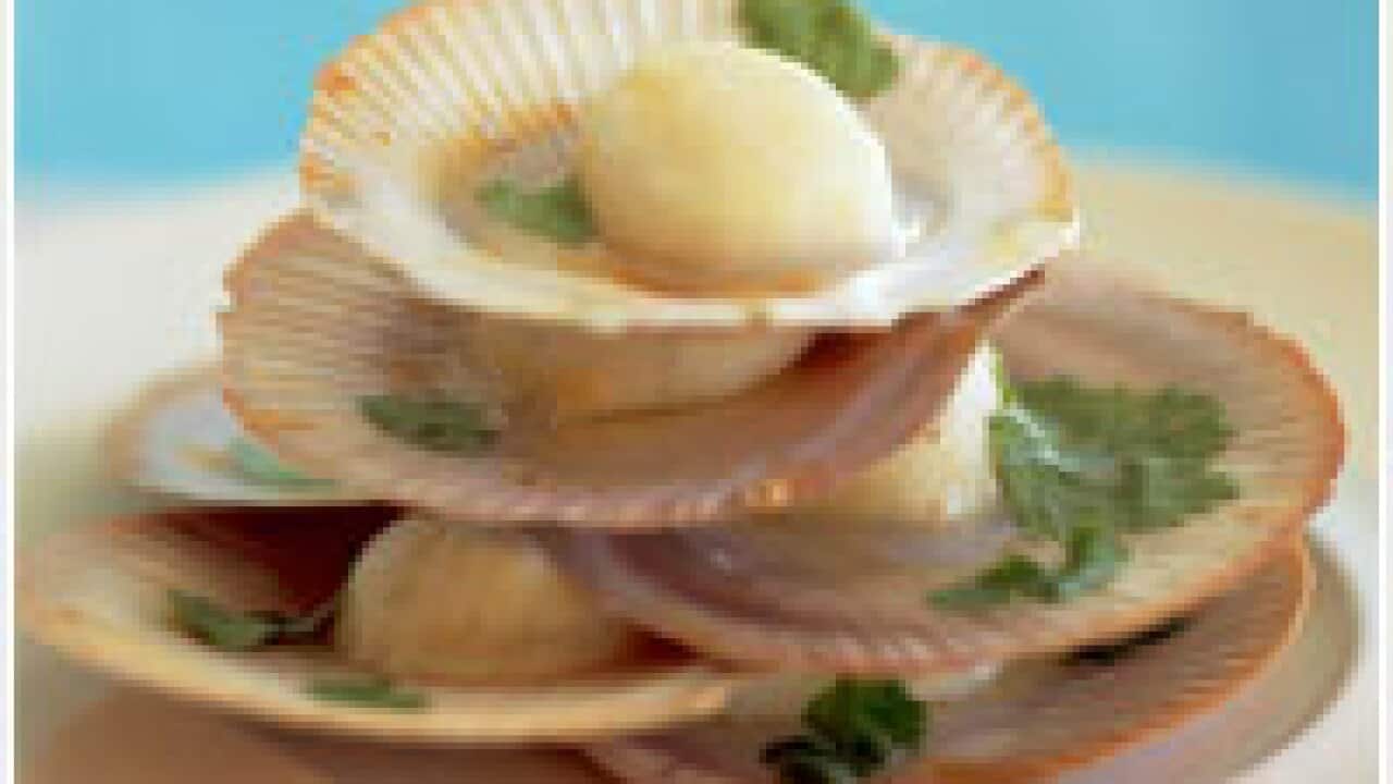 Grilled scallops with Nuoc Cham
