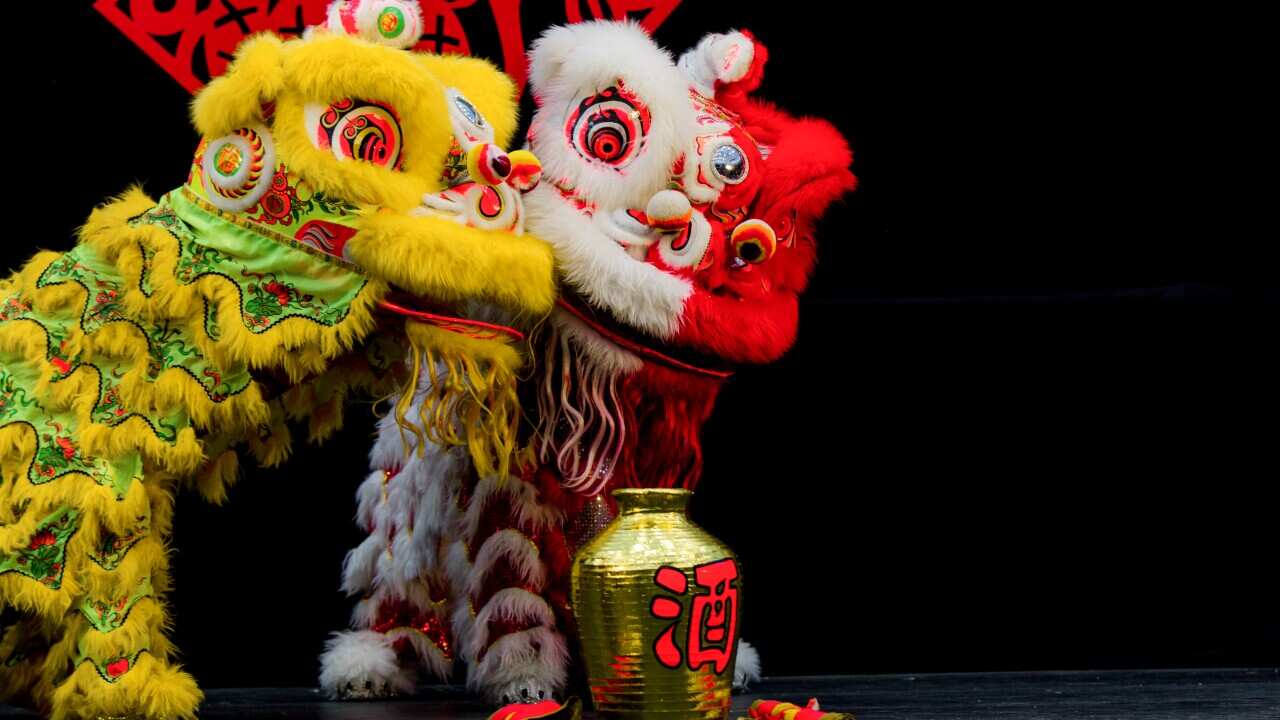 向來新年氣氛濃厚的維州今年受著新冠疫情的衝擊,不少市議會都被迫取消農曆年慶祝活動。