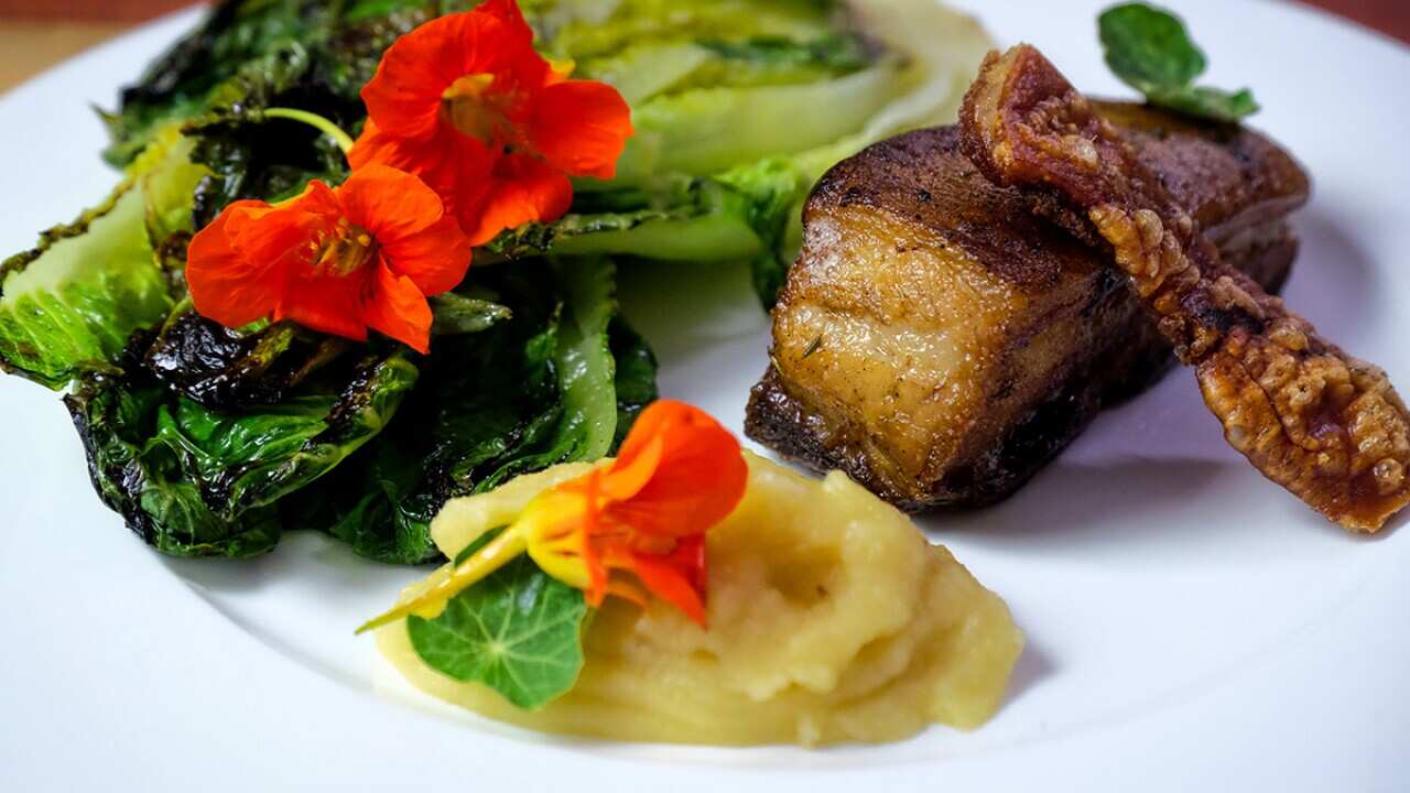 Simple, produce-led food like this pork belly with burnt lettuce and apple best describes Jack's cooking style.