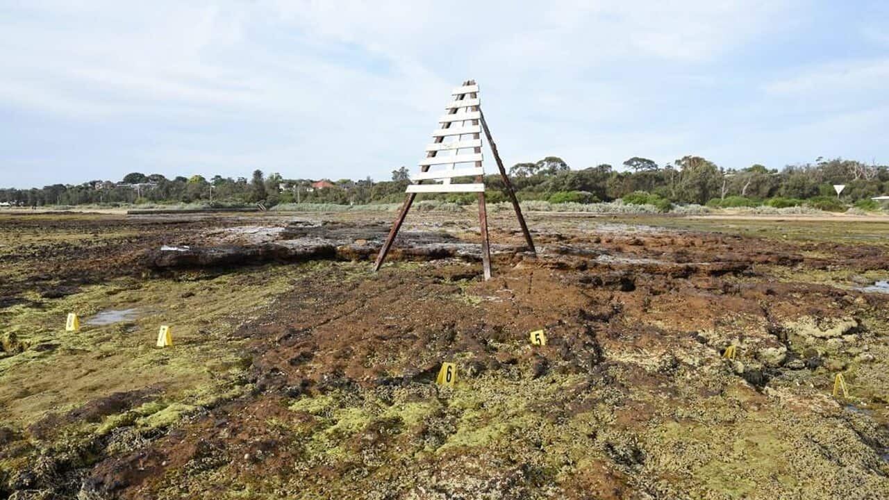 The scene where hundreds of human bone fragments were found in foreshore rock pools at Ricketts Point in Beaumaris, Melbourne.