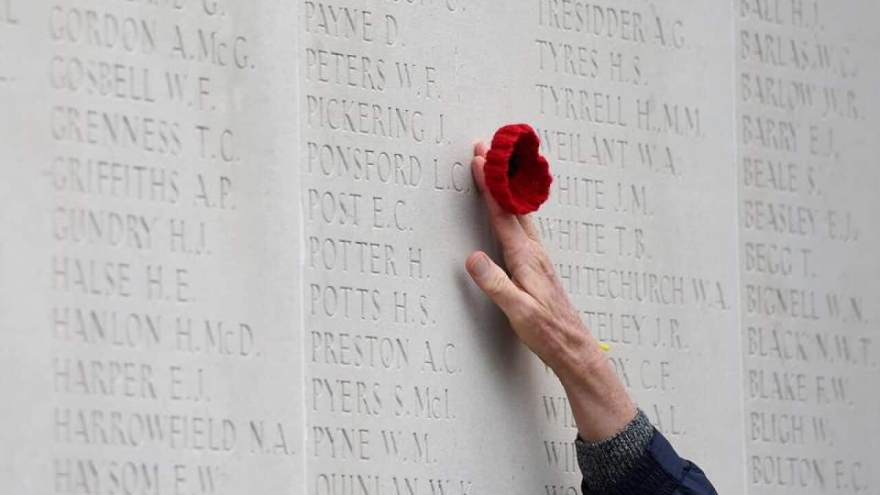 A knitted poppy